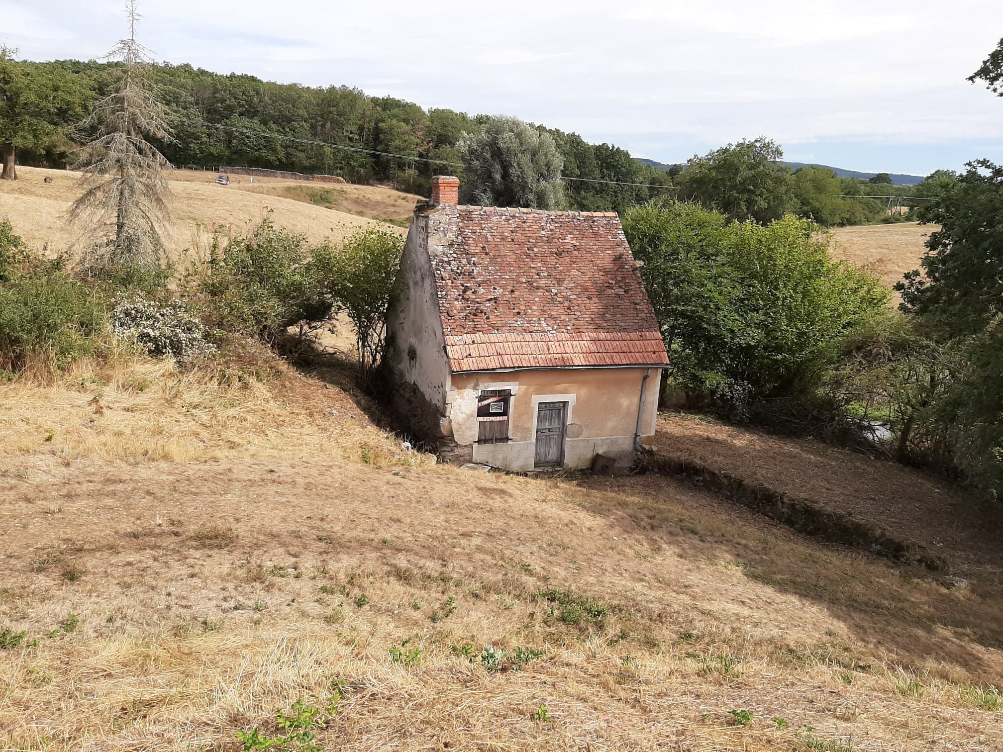 vente CABANON PLEINE NATURE 35 m²