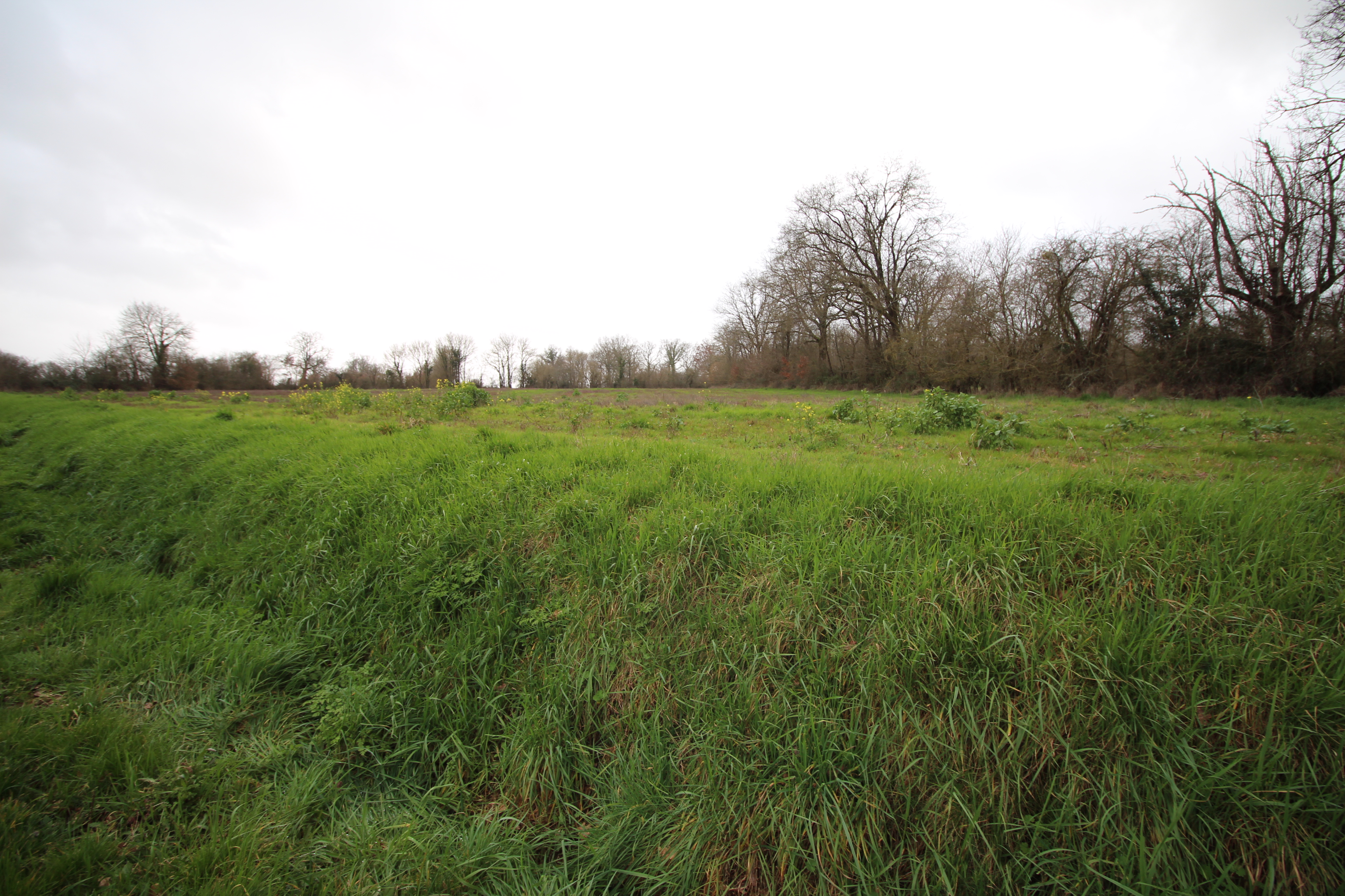 vente Magné  Plus de 6 hectares de terres agricoles