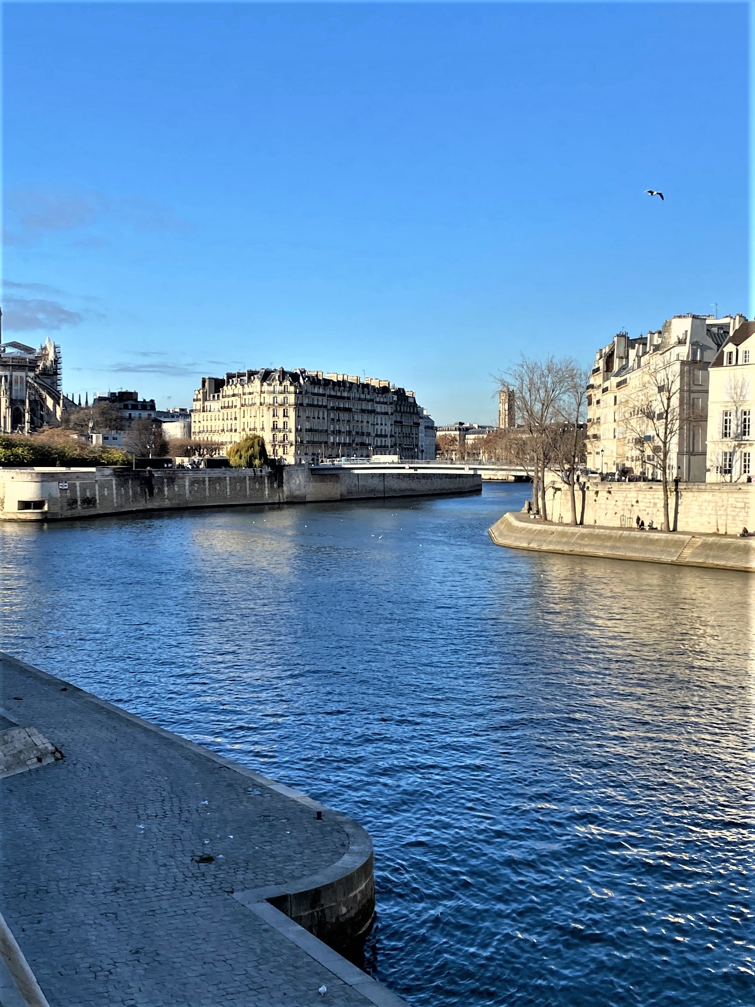 Vente 4 pièces a proximité de la Seine et du Boulevard Saint Germain